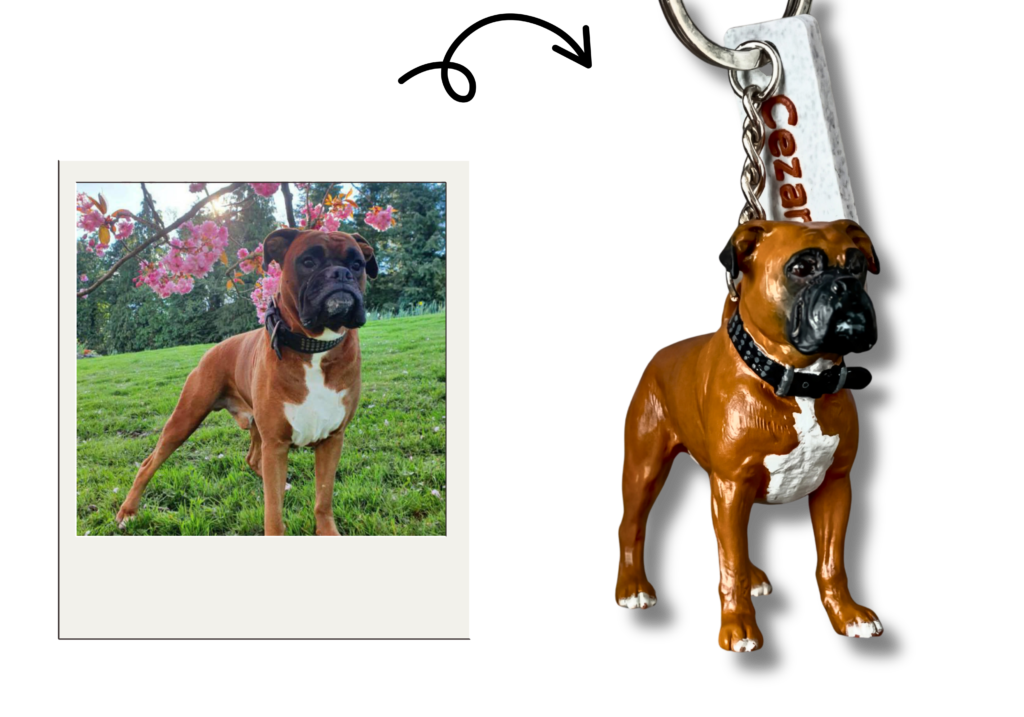 kuriu zaislus (28.575 x 20 cm)